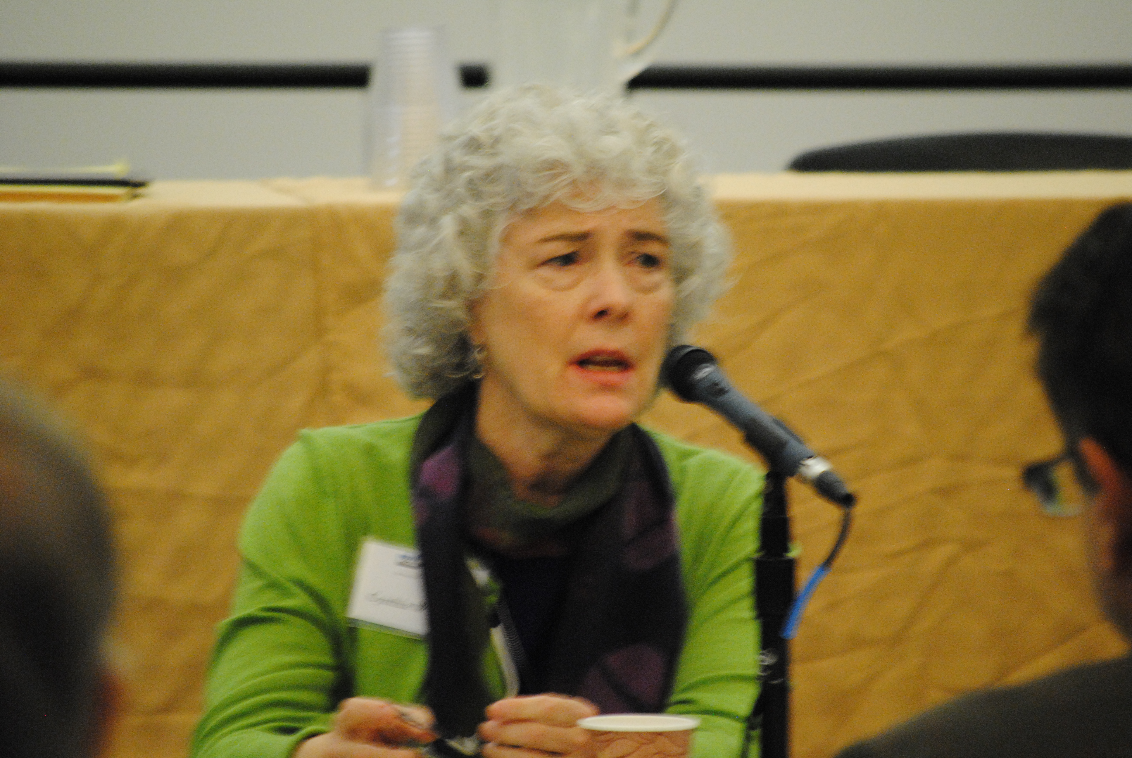 Consultant, former researcher with the Presbyterian Church, USA