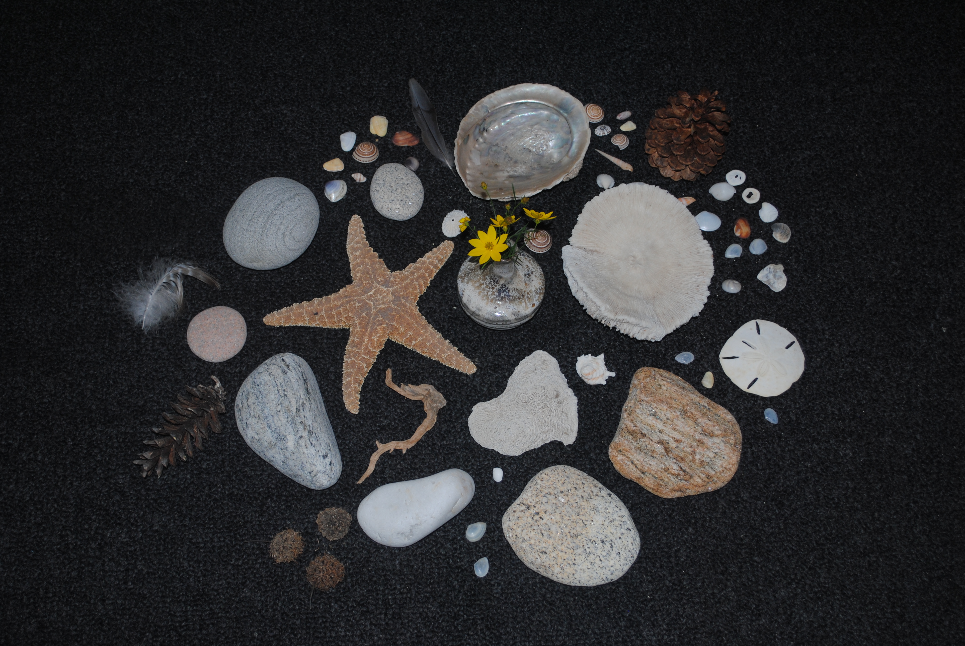 Convocation 2015 - 5