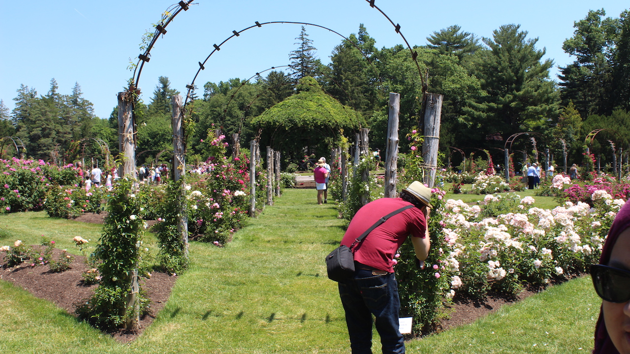 Build Abrahamic Partnerships 2016