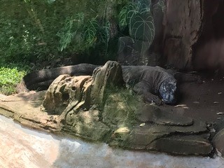 Jakarta, Indonesia - 2016