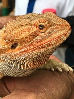 Jakarta, Indonesia - 2016