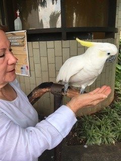 Jakarta, Indonesia - 2016