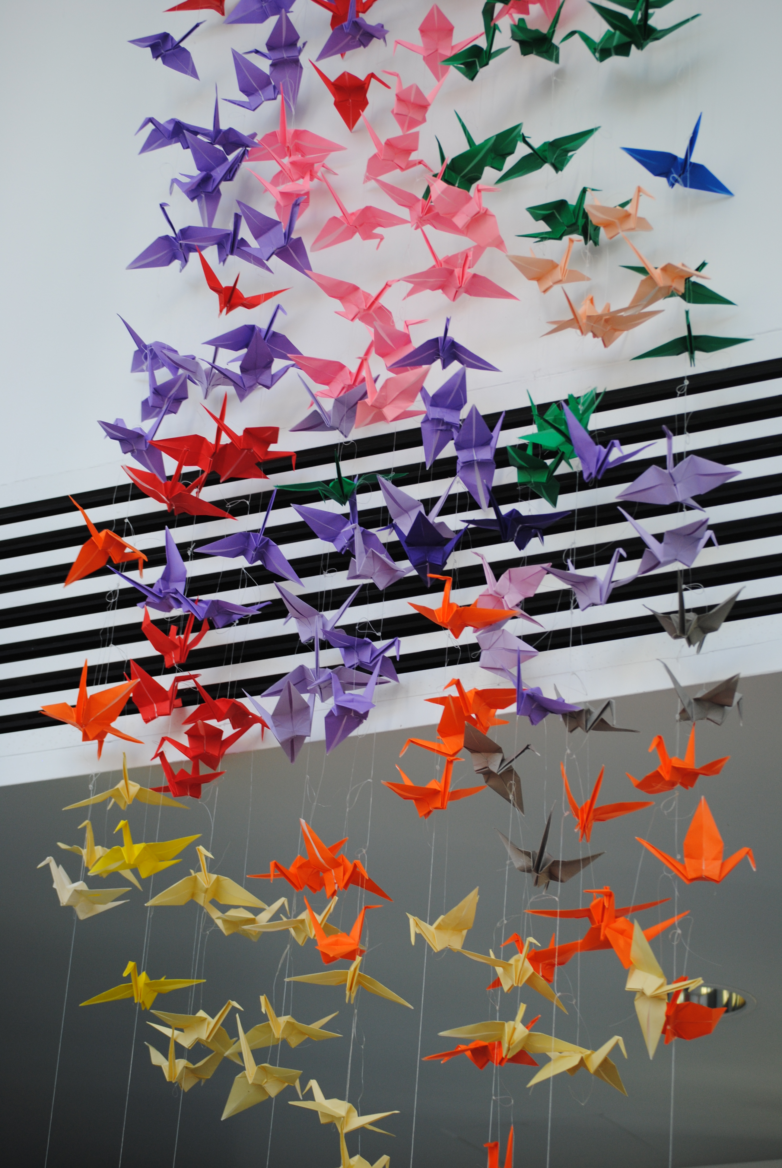 Origami Crane project and dedication