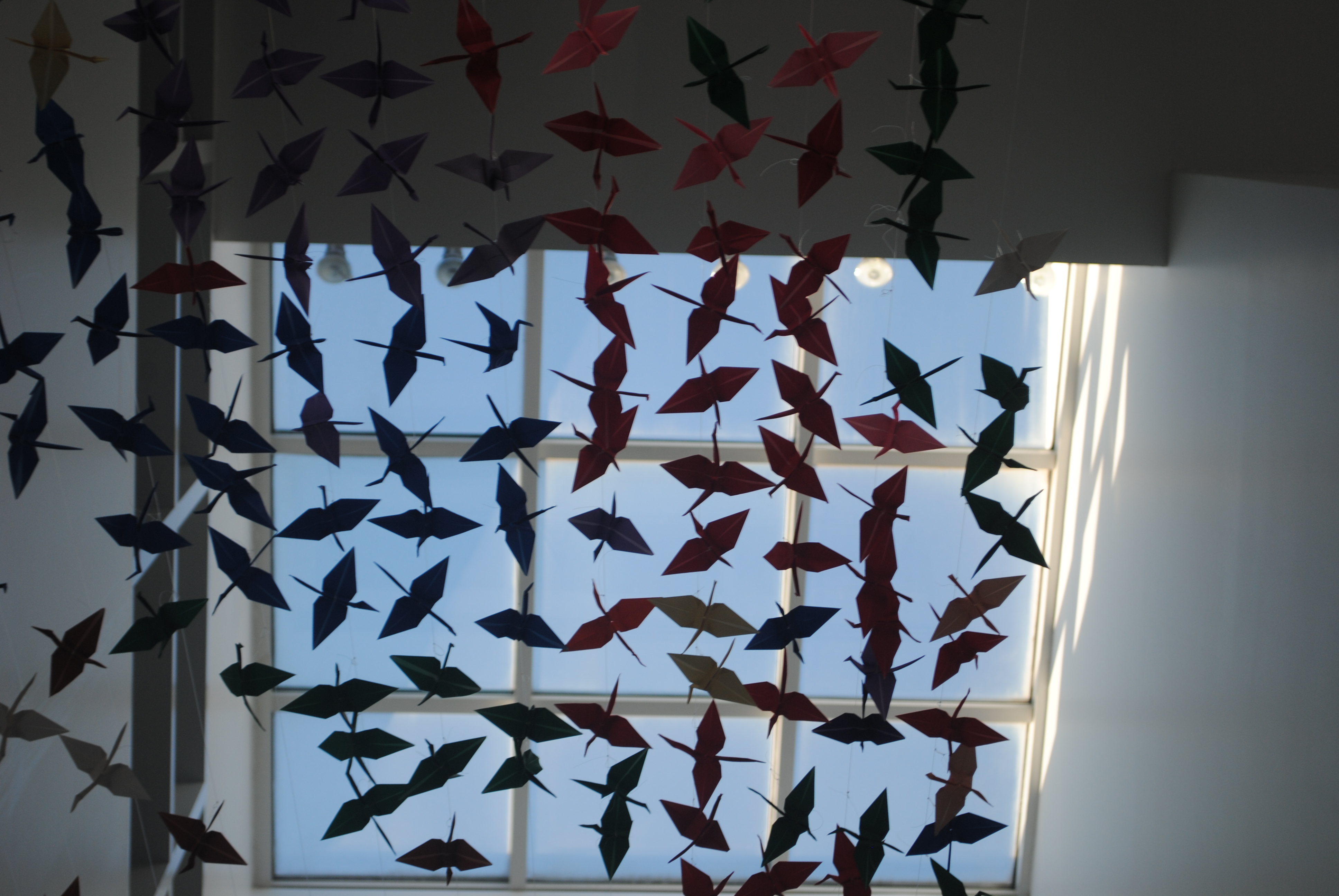 Origami Crane project and dedication