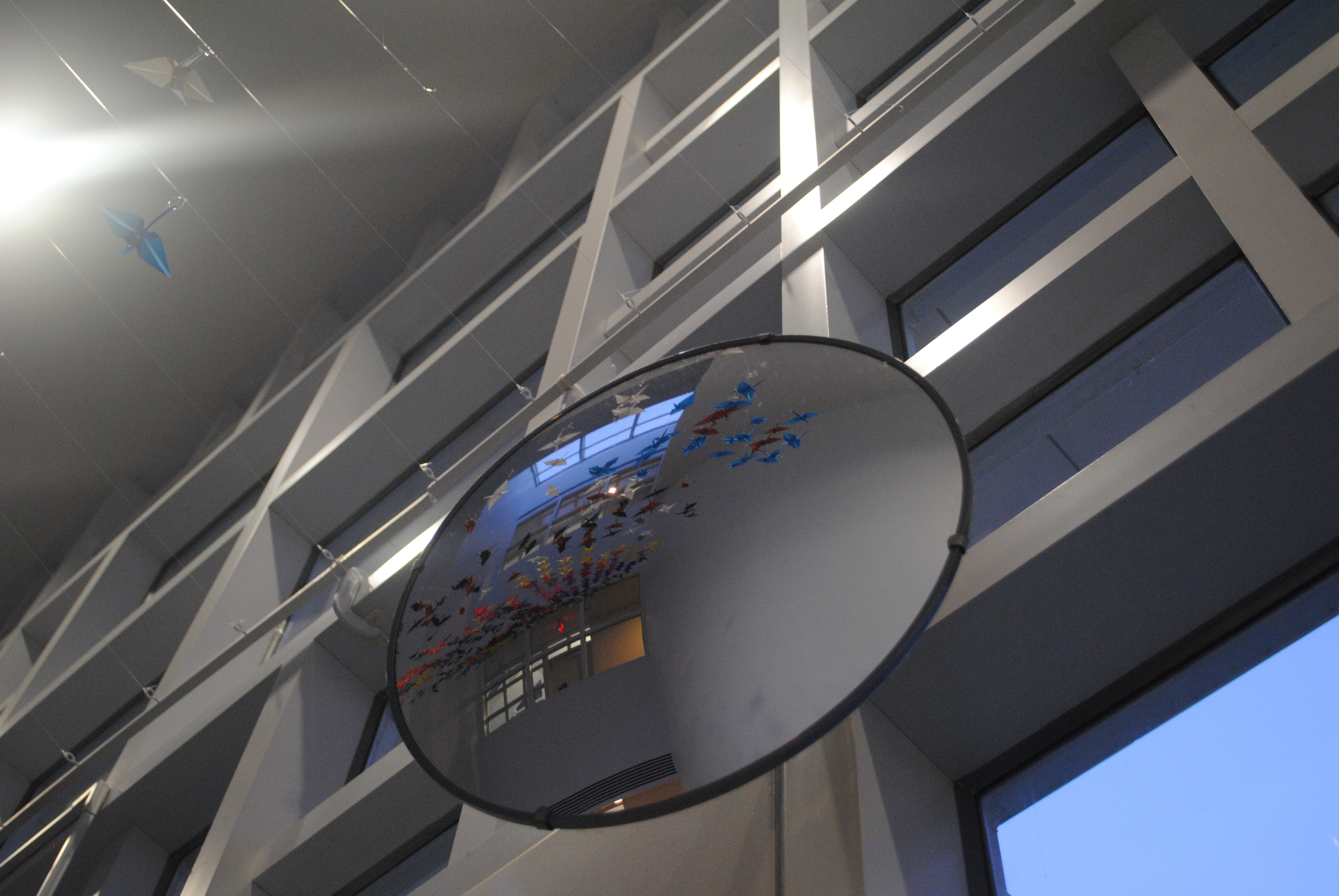 Origami Crane project and dedication