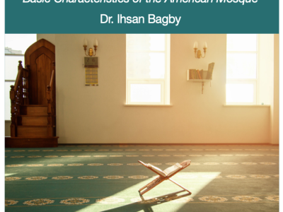 American Mosque Survey 2020