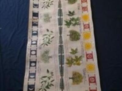 Debra Tyler - Earth Scripture’ Scroll